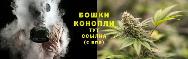 амф Вязьма