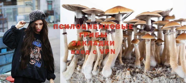 кокаин премиум Алексеевка