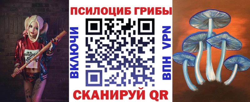 Псилоцибиновые грибы мицелий  Карабулак 